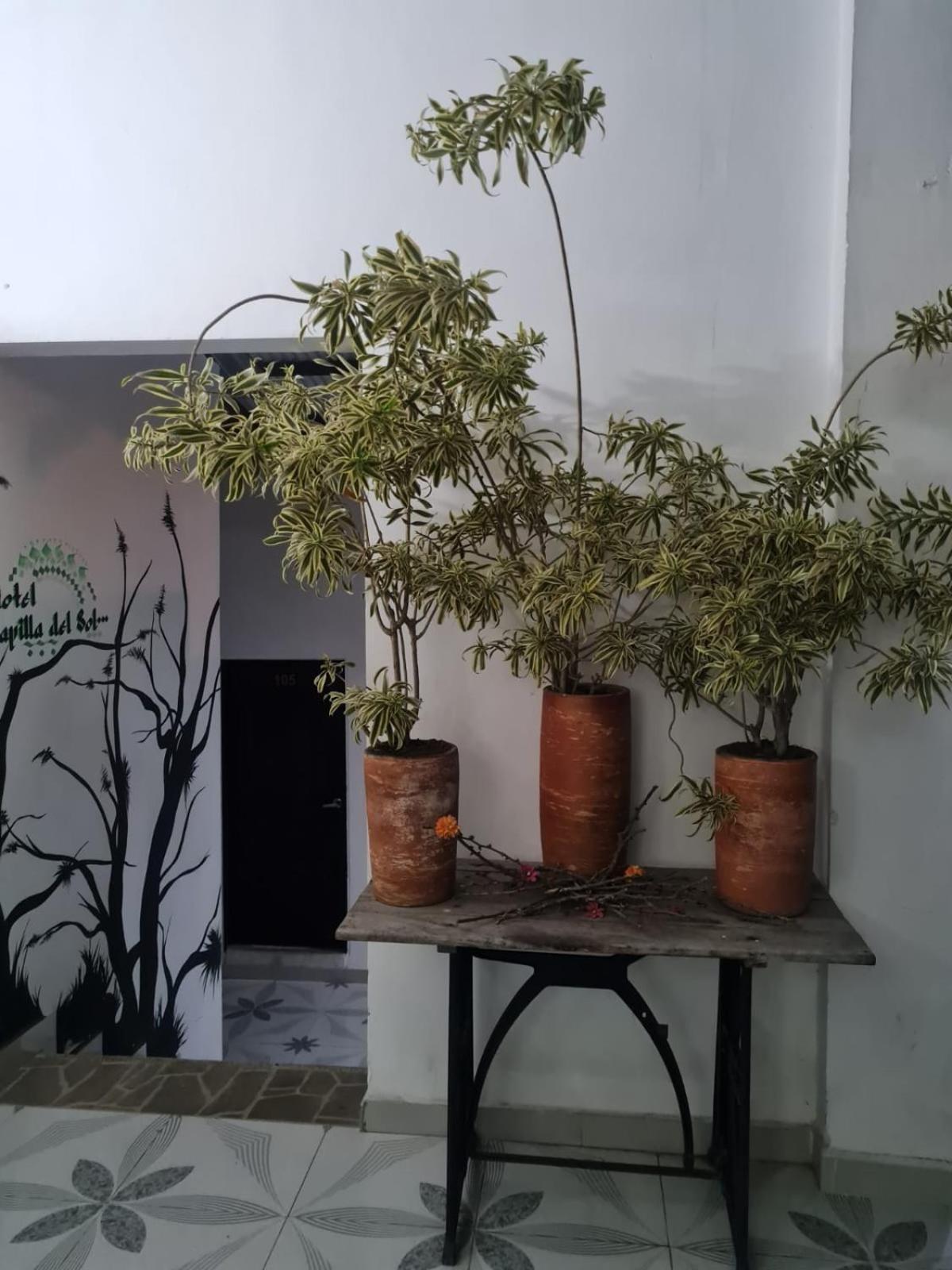 מלון Garzón Capilla Del Sol מראה חיצוני תמונה